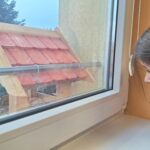 Dziewczynka obserwuje sikorkę