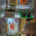 Chłopiec podlewa kwiaty