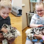 Dzieci-glaszcza-kurki