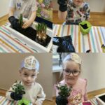 Mróweczki z bratkami