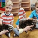 Mrowki-poznaja-kurki-przez-stymulacje-dotykowa