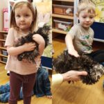 Odwazne-Mrowki-przytulaja-kurki