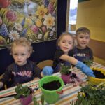 Przedszkolaki sadzą bratki