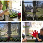 Wiosenne kąciki przyrody