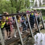 Dzieci obserwują ryby