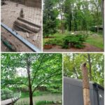 Ogród Botaniczny
