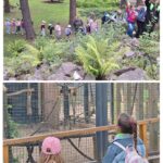 dzieci zwiedzają ogród botaniczny