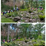dzieci zwiedzają ogród botaniczny