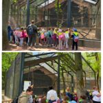 dzieci zwiedzają ogród botaniczny
