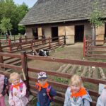Dzieci oglądają małe kozy