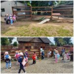 Dzieci z oddziału Żuczki przy białym pawie i zwierzętach wiejskich