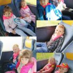 Mróweczki podczas podróży autobusem