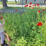 „Od nasionka do plonu – przygoda w przedszkolnym ogródku”