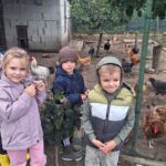 Dzieci z oddziału Biedronek przy kurach