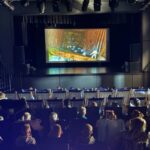 Grębocickie kino