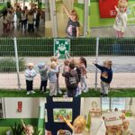 Mrówki poznają trasę ewakuacji