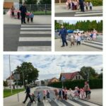 Mrówki przechodzą przez pasy