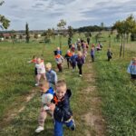 Wyścigi biegowe