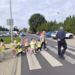 Żuczki przechodzą przez pasy