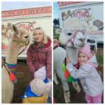 Alpakoterapia-przez-przytulenie
