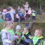 Dzieci oglądają modrzew