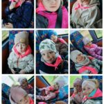 Mrowki-podczas-jazdy-autobusem