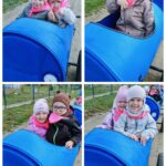 Mrowki-podczas-jazdy-bobslejem