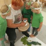 Obserwacja-pod-mikroskopem-sloi-pnia